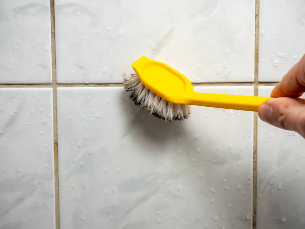 Water Damage Restoration in Wells, MN