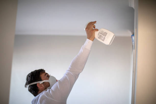 Best Residential Mold Removal  in Wells, MN